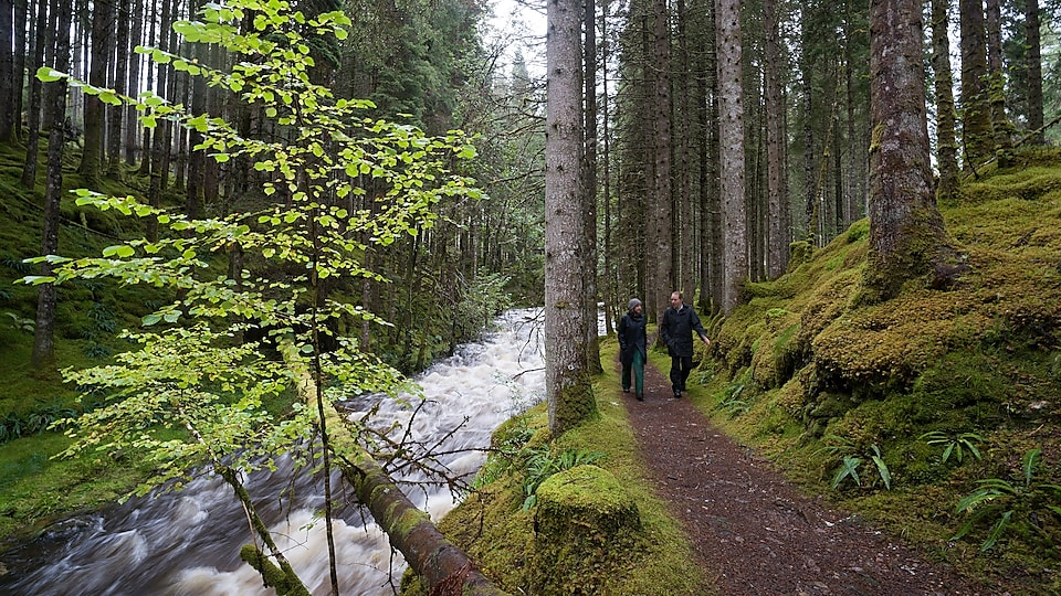 Một người đàn ông và một người phụ nữ đi dọc theo thác trong rừng